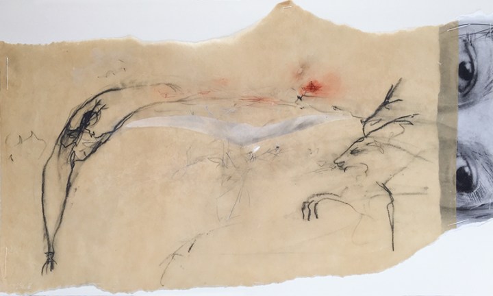 Die Reise des Narrenschiffs