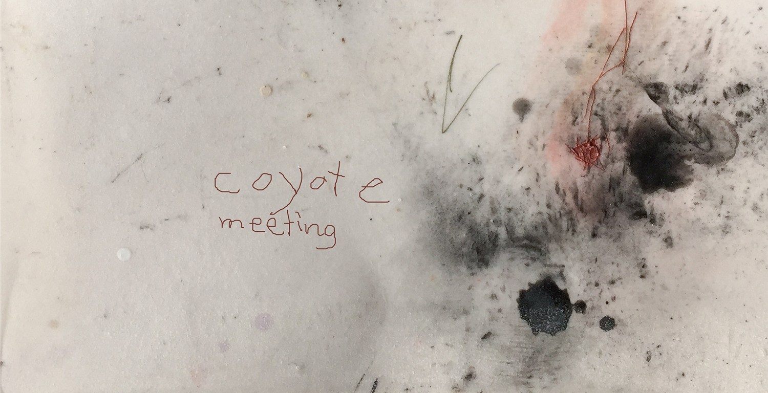 Kunstbuch coyote-meeting